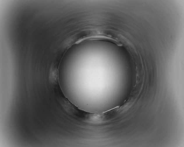 X0000099980096200805301402