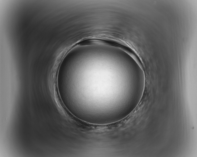 X0000099980097200805301401