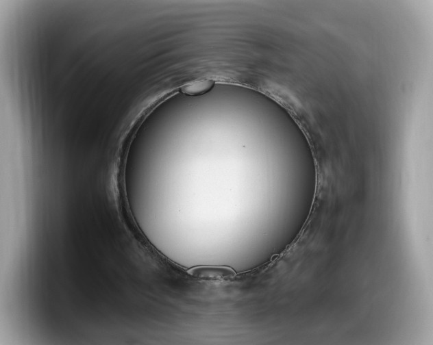 X0000099980098200805301401