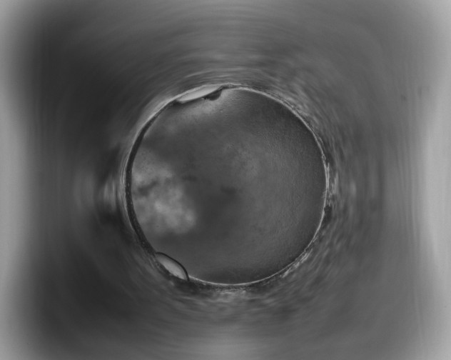 X0000099980099200805301401