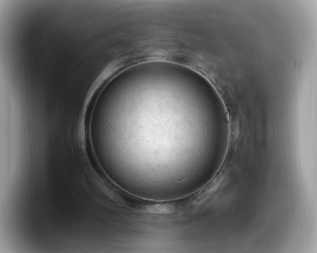 X0000099980102200805301401