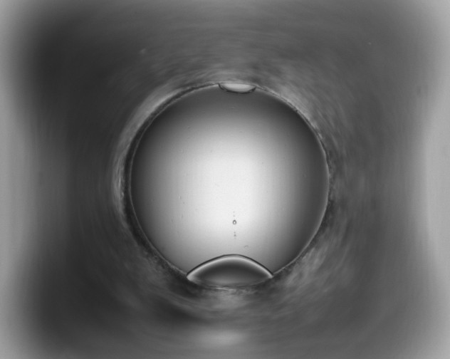 X0000099980103200805301401