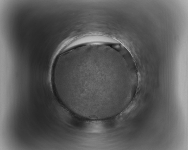 X0000099980104200805301401