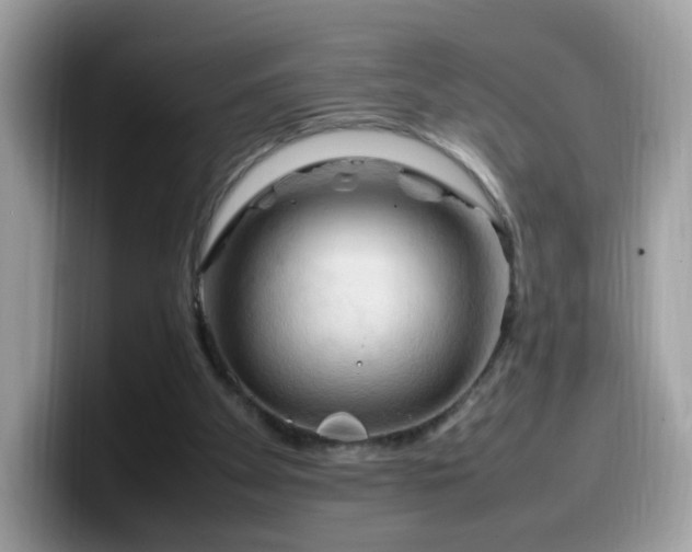 X0000099980105200805301401