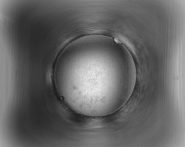 X0000099980107200805301401