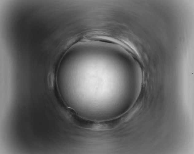 X0000099980109200805301401