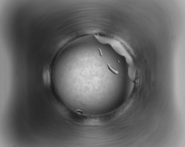 X0000099980110200805301401