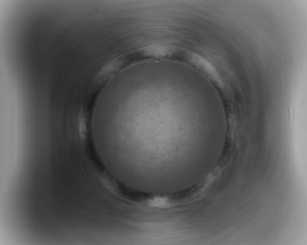 X0000099980114200805301401