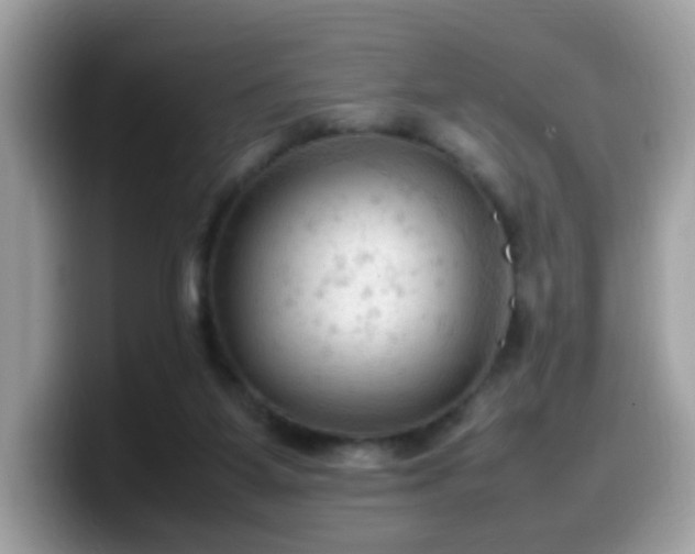 X0000099980115200805301401