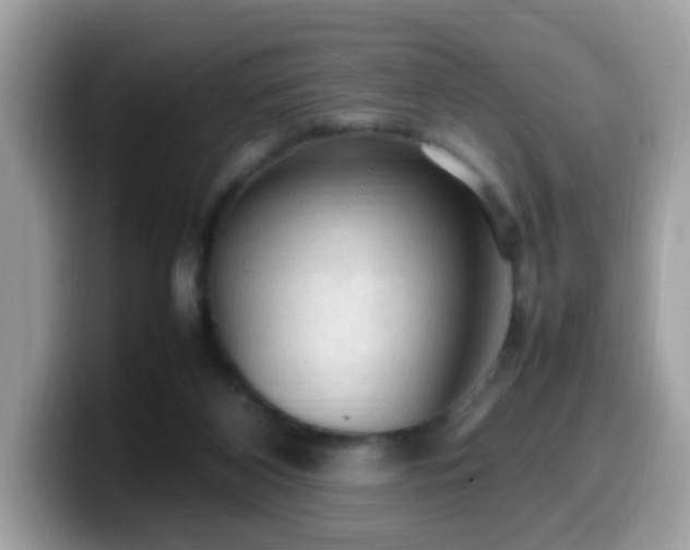 X0000099980116200805301401