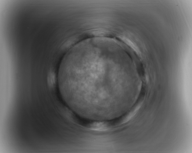 X0000099980117200805301401