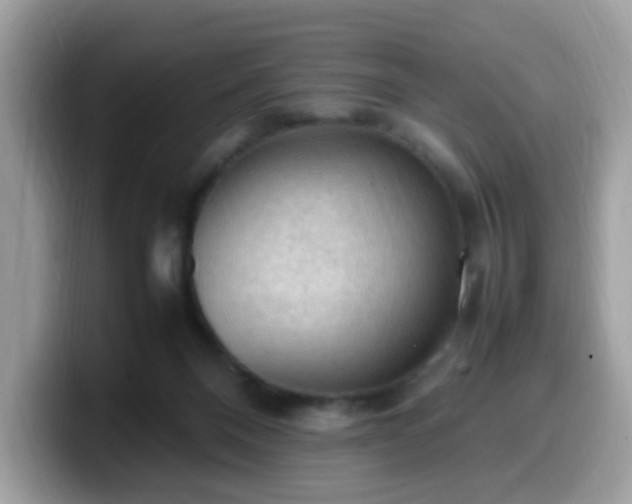 X0000099980120200805301401