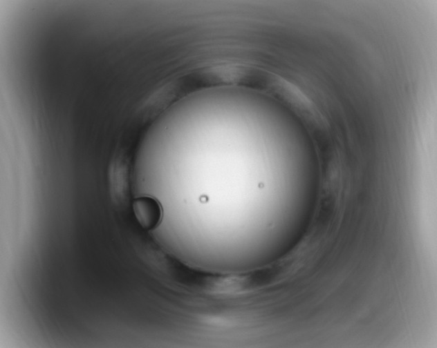 X0000099980122200805301401