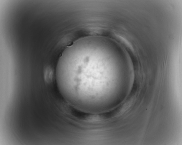 X0000099980123200805301401