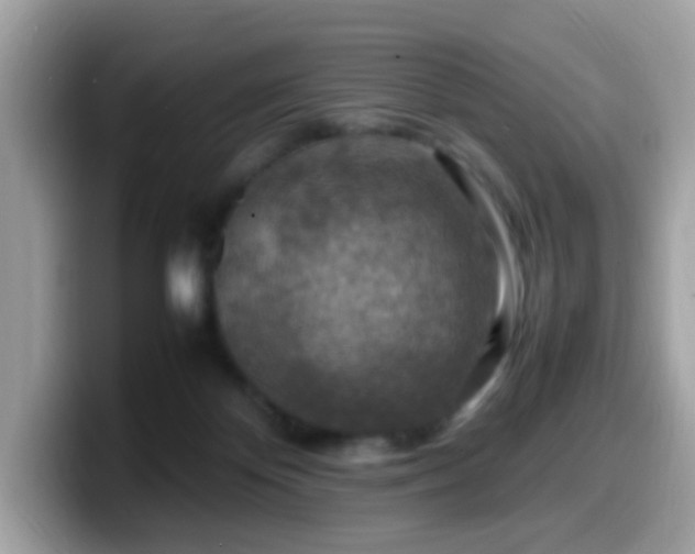 X0000099980124200805301401