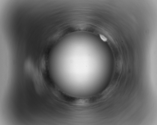 X0000099980126200805301401