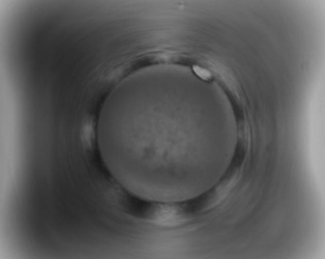 X0000099980127200805301401