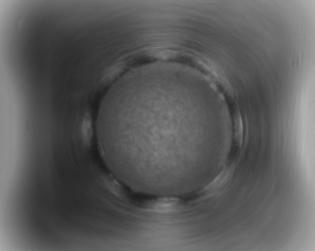 X0000099980128200805301401