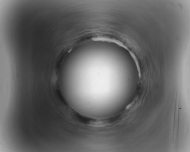 X0000099980129200805301401