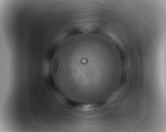 X0000099980130200805301401