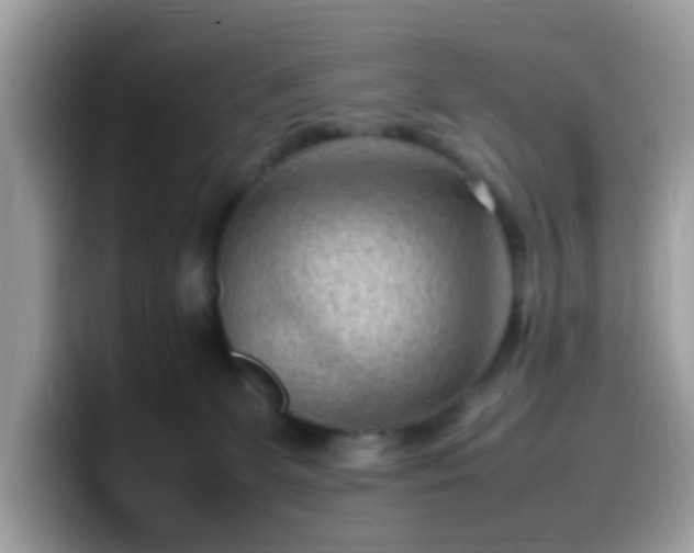 X0000099980131200805301401