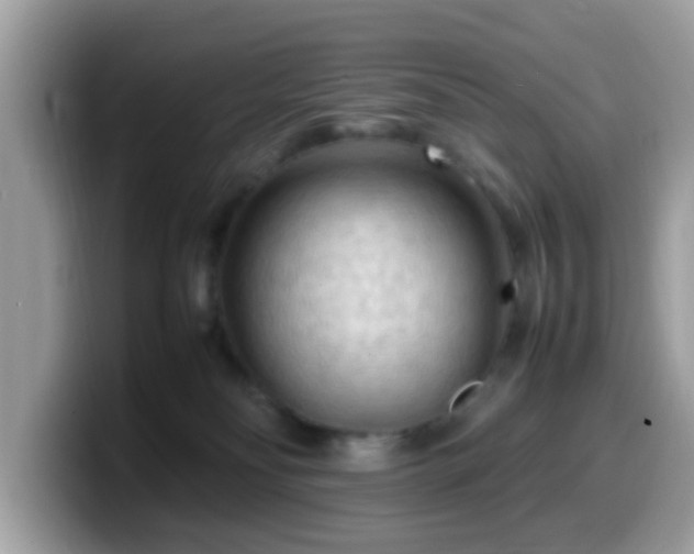 X0000099980134200805301401