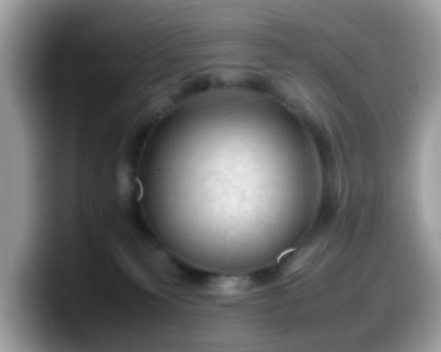 X0000099980135200805301401