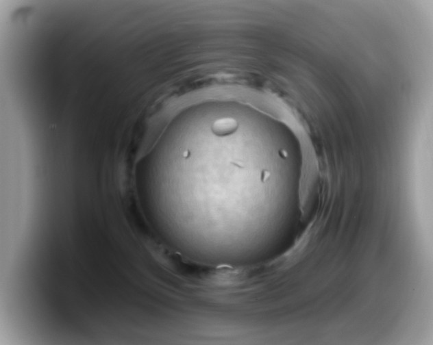 X0000099980136200805301401