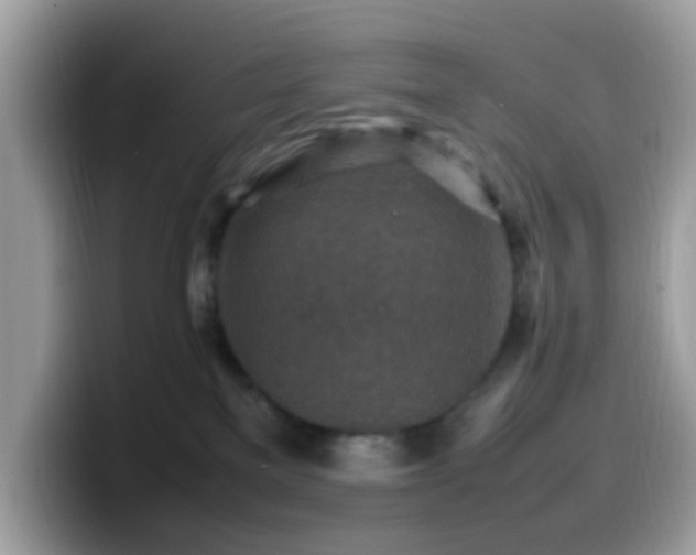 X0000099980137200805301401