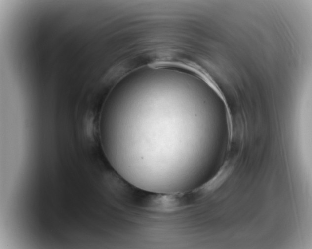 X0000099980140200805301401