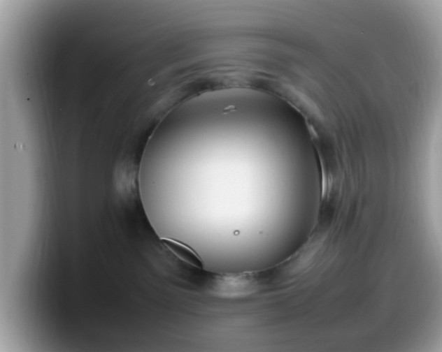 X0000099980141200805301401