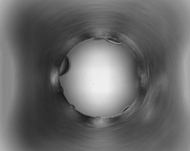 X0000099980142200805301401