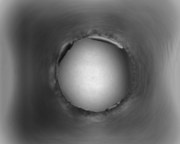 X0000099980144200805301401