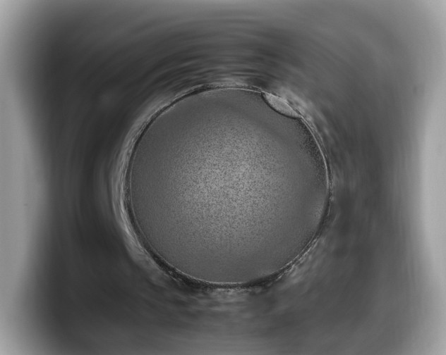 X0000099980145200805301400