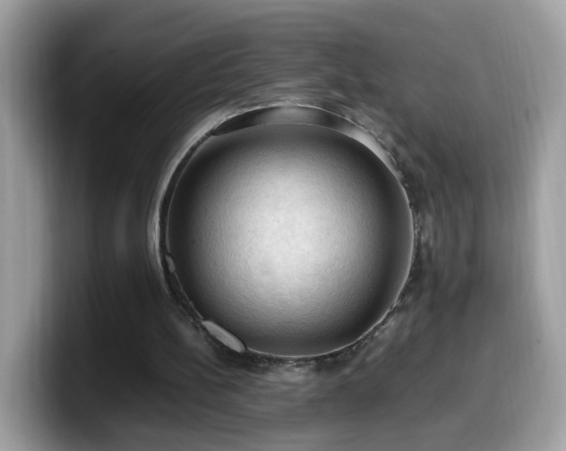 X0000099980148200805301400