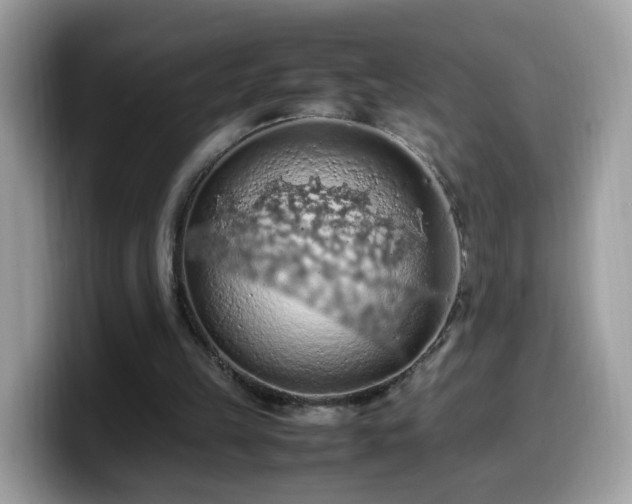 X0000099980149200805301400