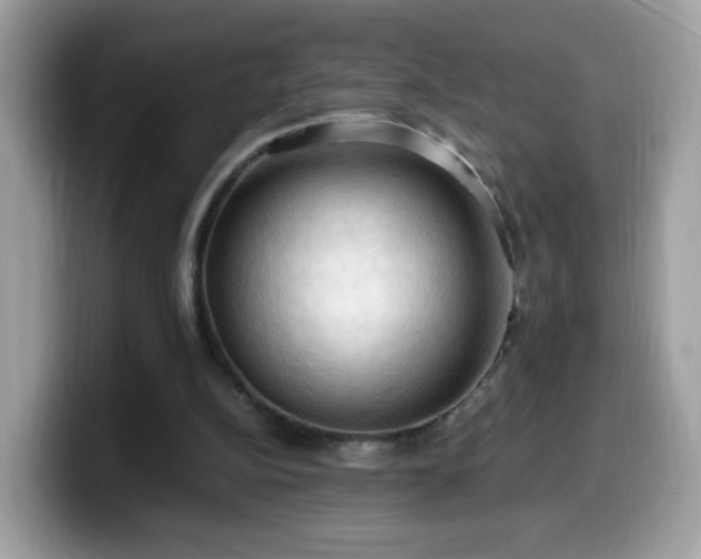 X0000099980152200805301400