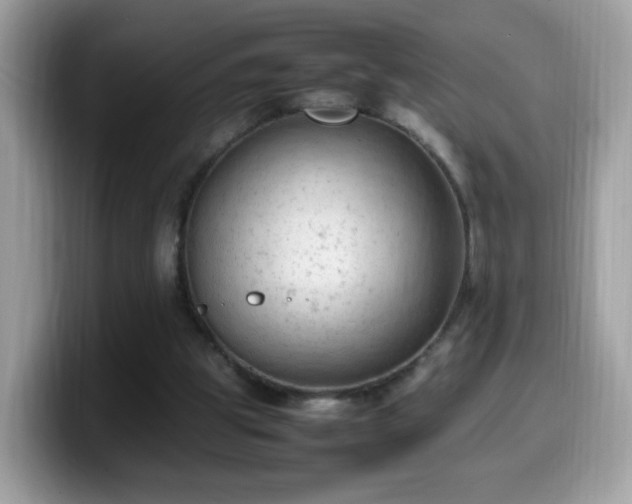 X0000099980153200805301400