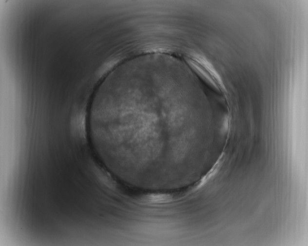 X0000099980154200805301400