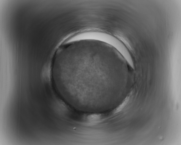 X0000099980156200805301400