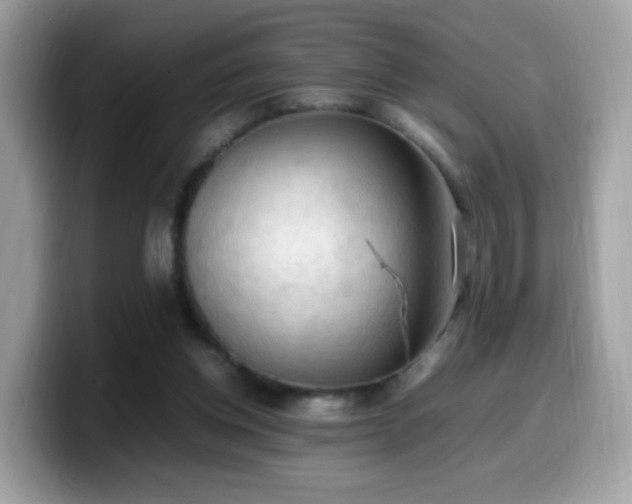 X0000099980158200805301400