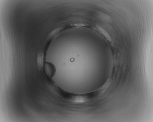 X0000099980163200805301400