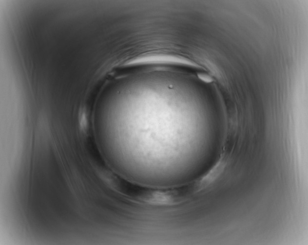 X0000099980166200805301400