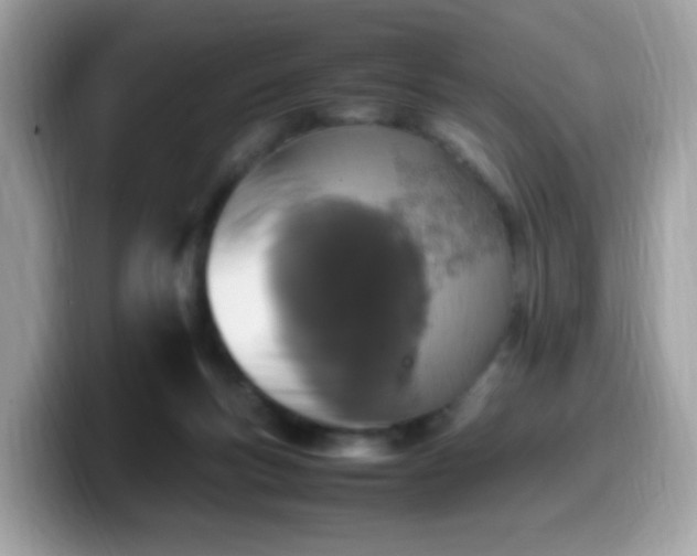 X0000099980167200805301400