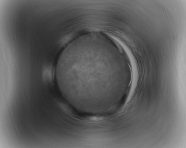 X0000099980168200805301400