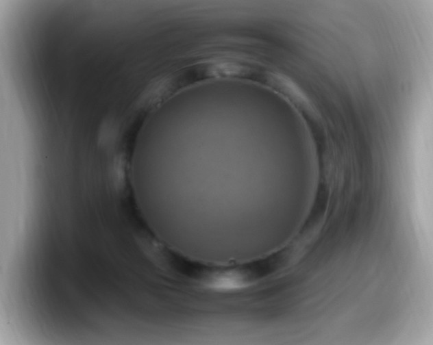 X0000099980169200805301400