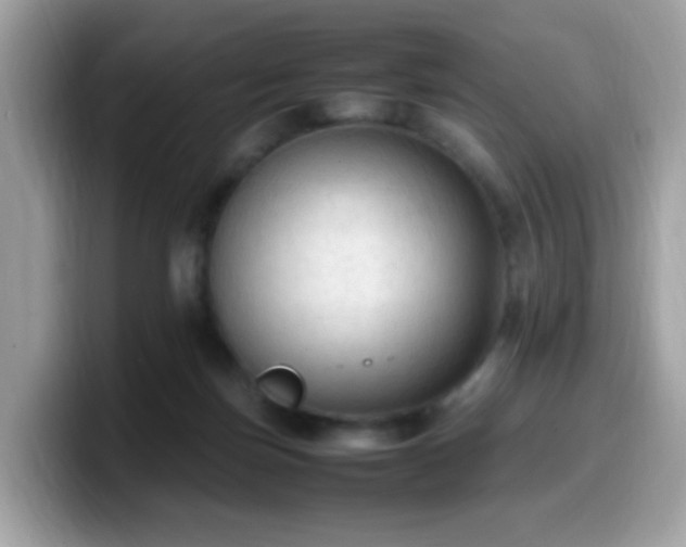 X0000099980171200805301400