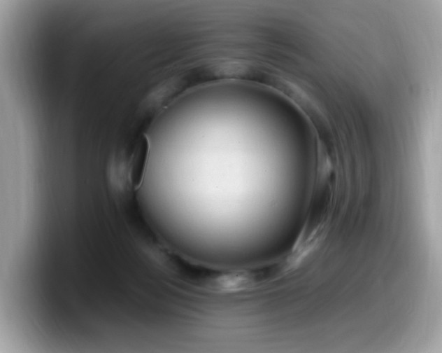 X0000099980172200805301400