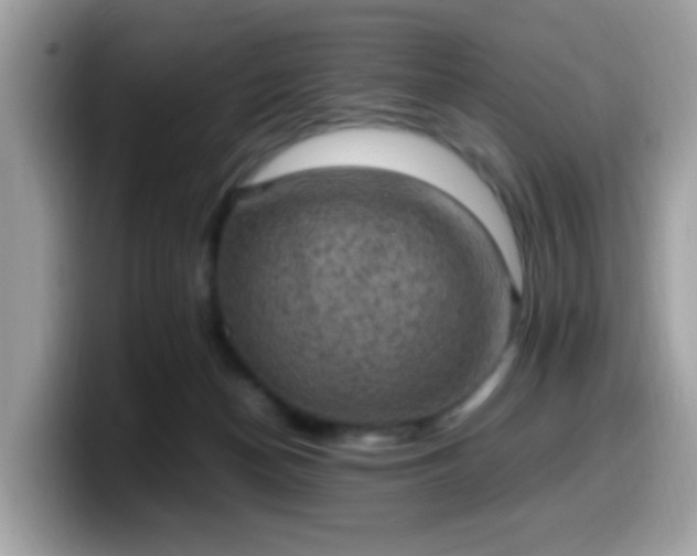 X0000099980174200805301400