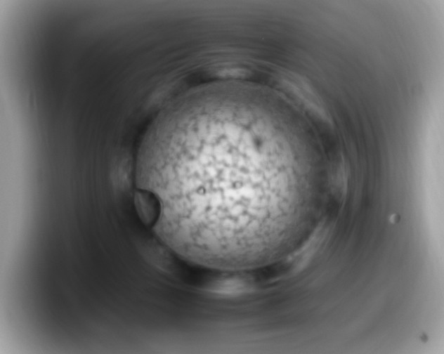 X0000099980175200805301400